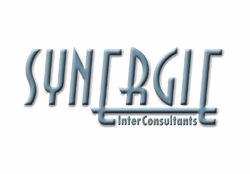 Synergie Inter Consultants Synergie Inter Consultants